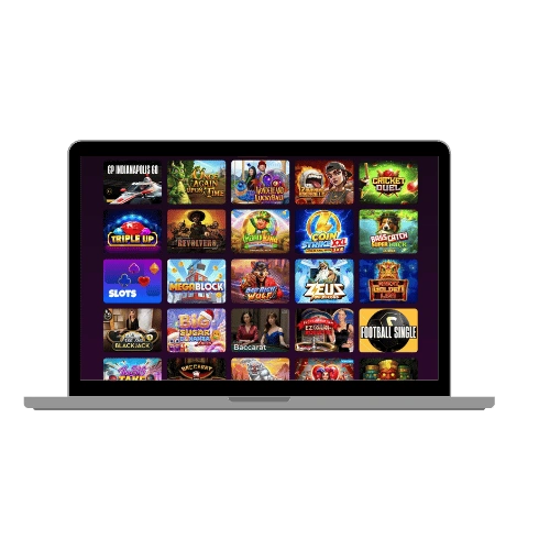 TheStakeHouse online